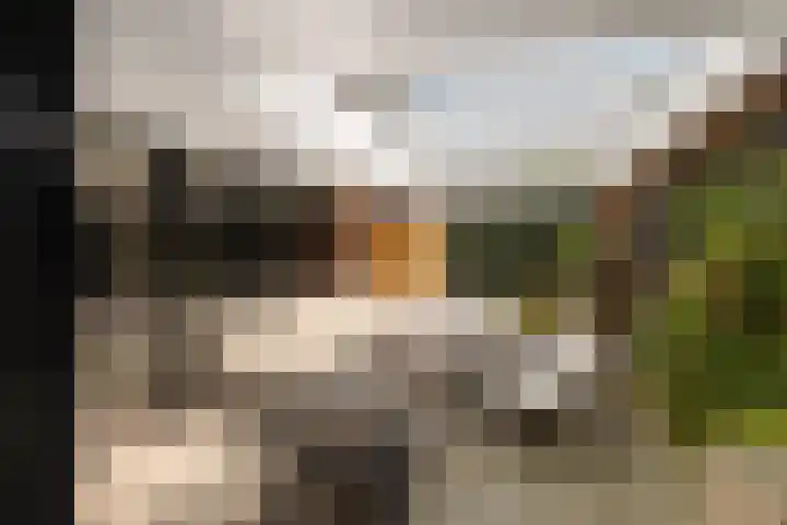 Europastraat 50 Borne thumbnail 73