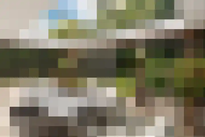 Europastraat 50 Borne thumbnail 74