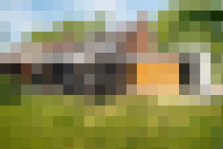 Europastraat 50 Borne thumbnail 75