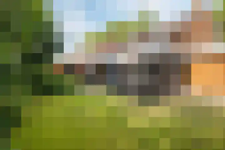 Europastraat 50 Borne thumbnail 76