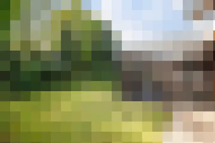 Europastraat 50 Borne thumbnail 77