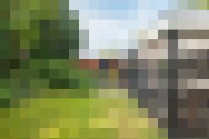 Europastraat 50 Borne thumbnail 78