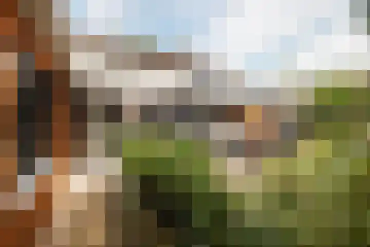 Europastraat 50 Borne thumbnail 79