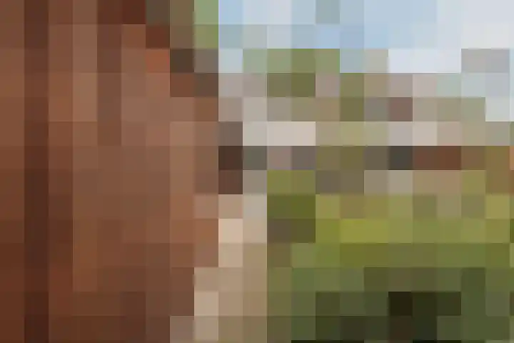 Europastraat 50 Borne thumbnail 80