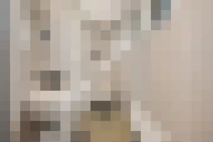 Europastraat 50 Borne thumbnail 9
