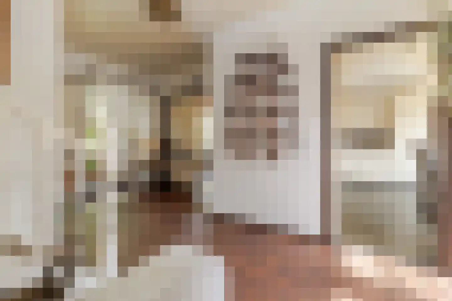 Europastraat 51 Ulestraten thumbnail 12
