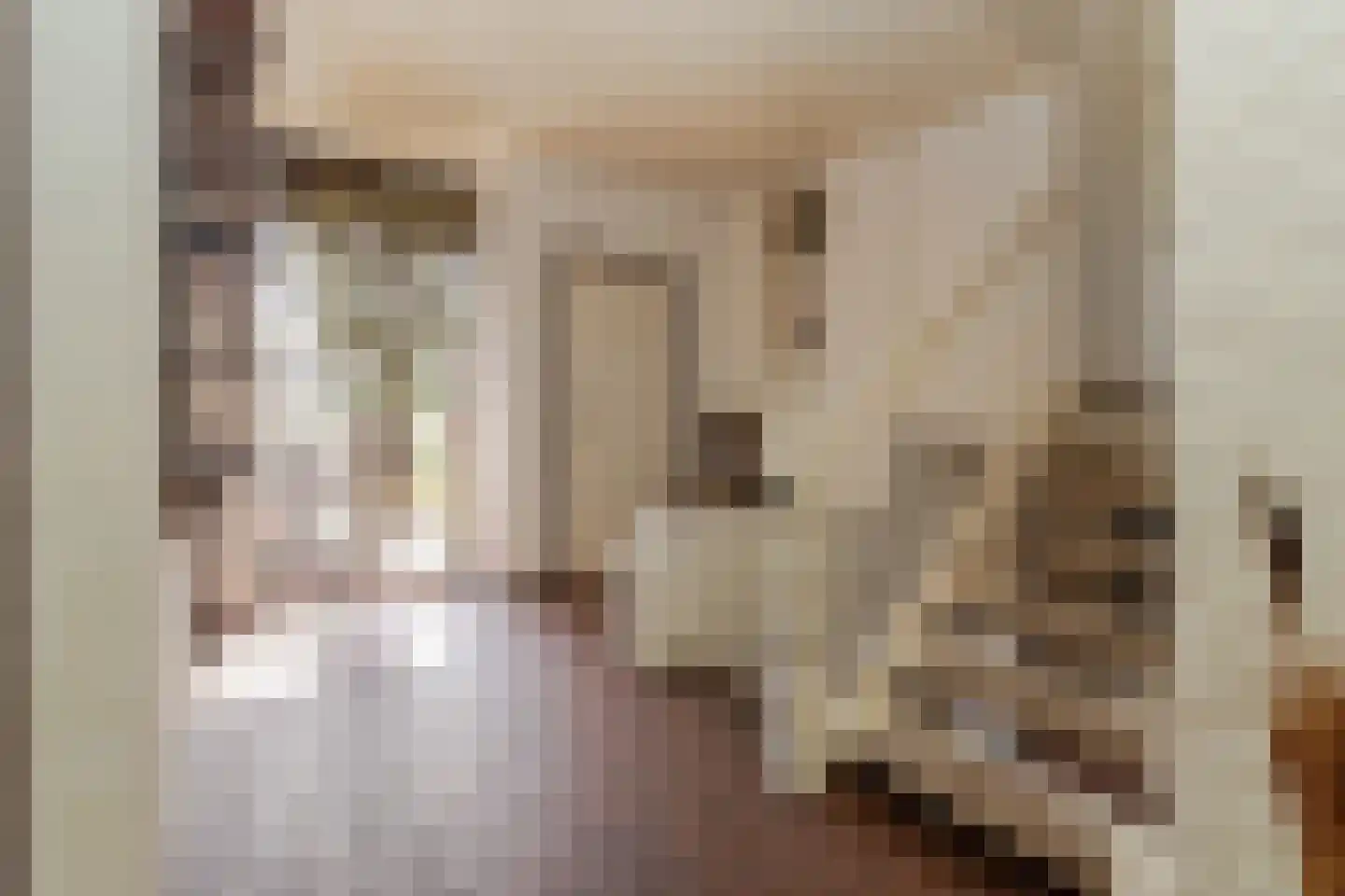 Europastraat 51 Ulestraten thumbnail 13