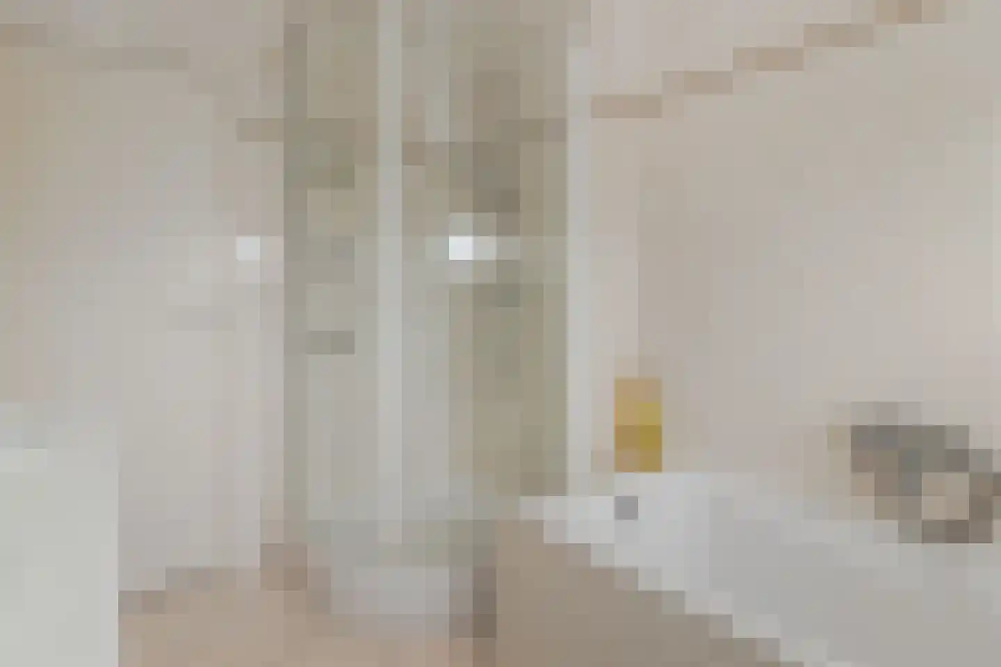 Europastraat 51 Ulestraten thumbnail 23