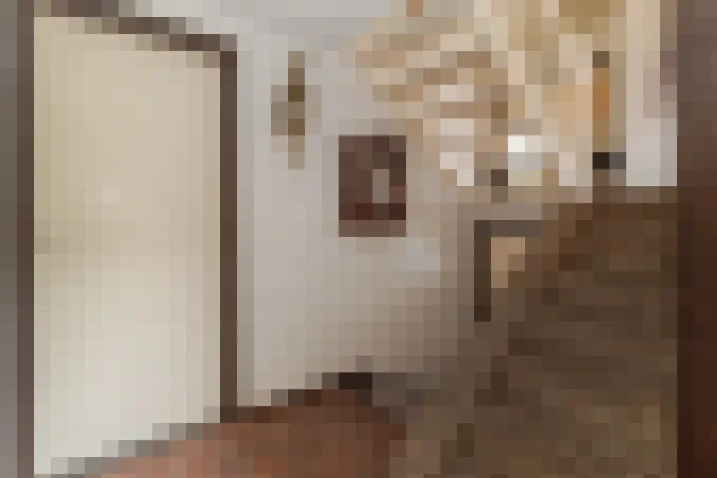 Europastraat 51 Ulestraten thumbnail 25