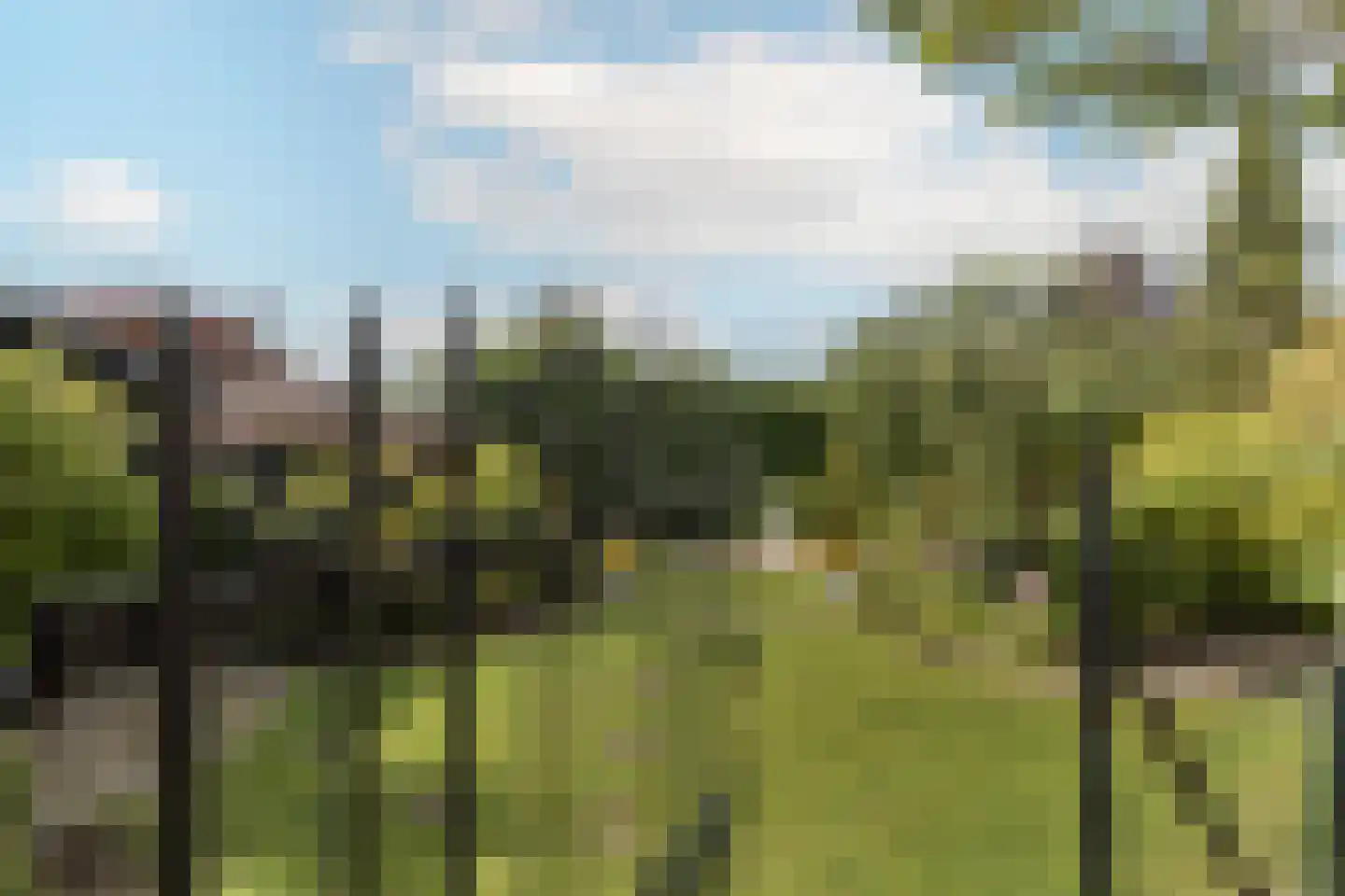 Europastraat 51 Ulestraten thumbnail 30