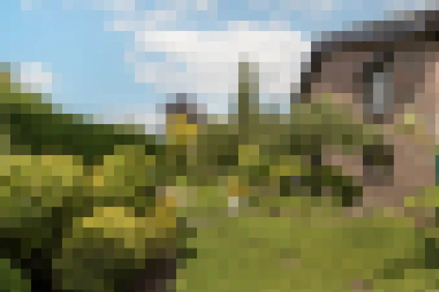 Europastraat 51 Ulestraten thumbnail 31