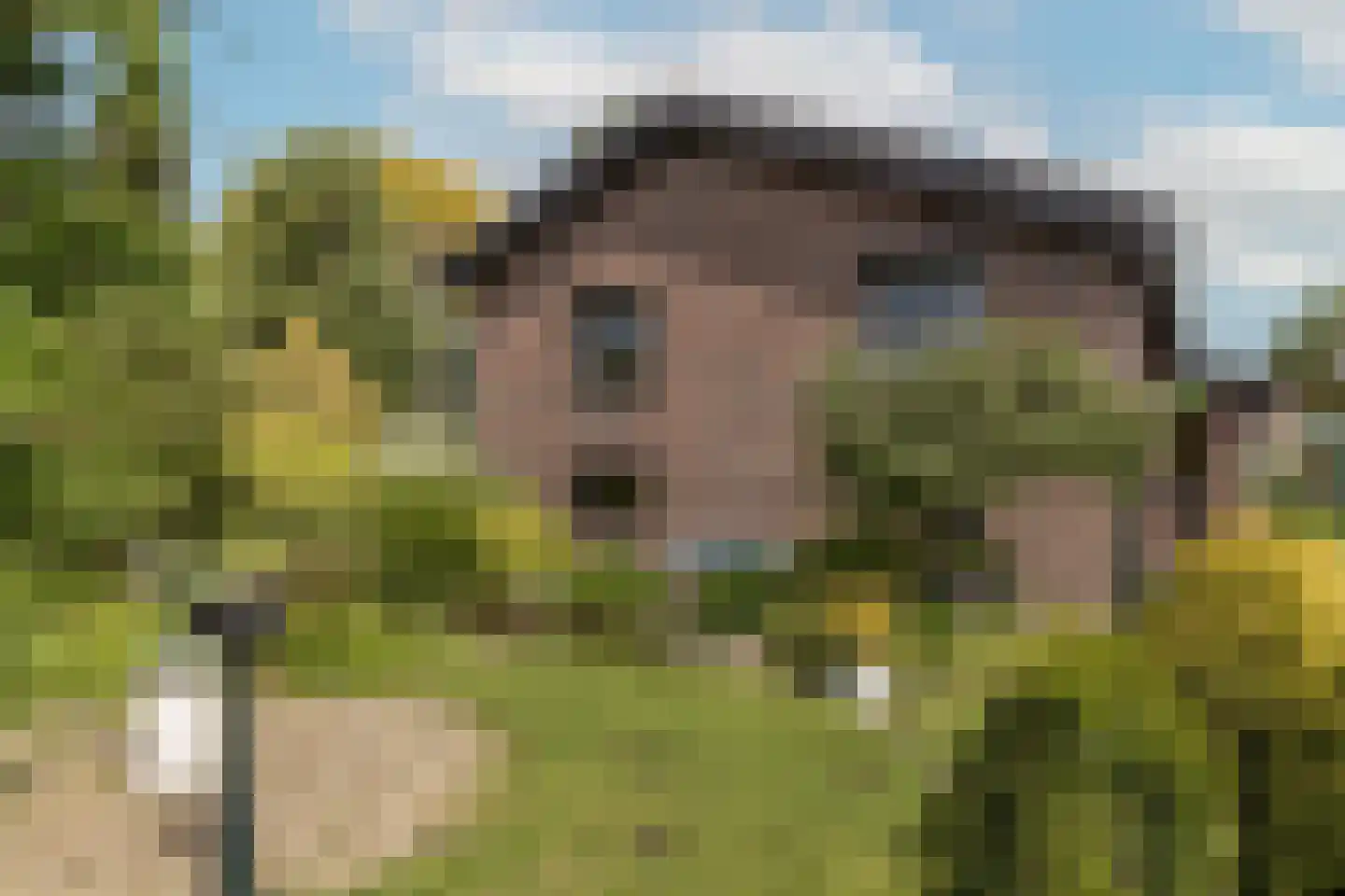 Europastraat 51 Ulestraten thumbnail 32