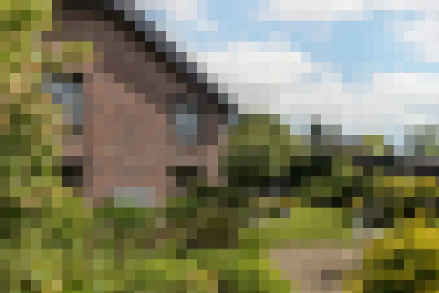 Europastraat 51 Ulestraten thumbnail 33
