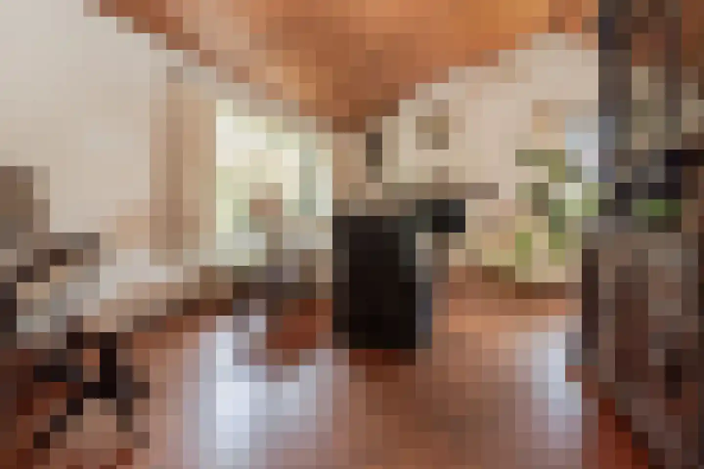 Europastraat 51 Ulestraten thumbnail 4