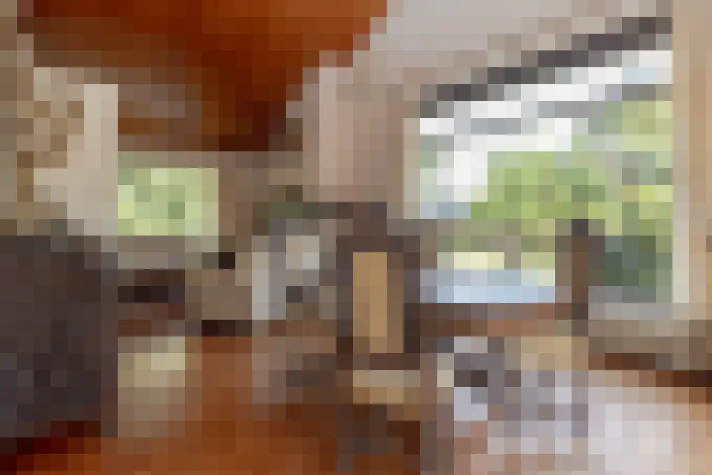 Europastraat 51 Ulestraten thumbnail 7