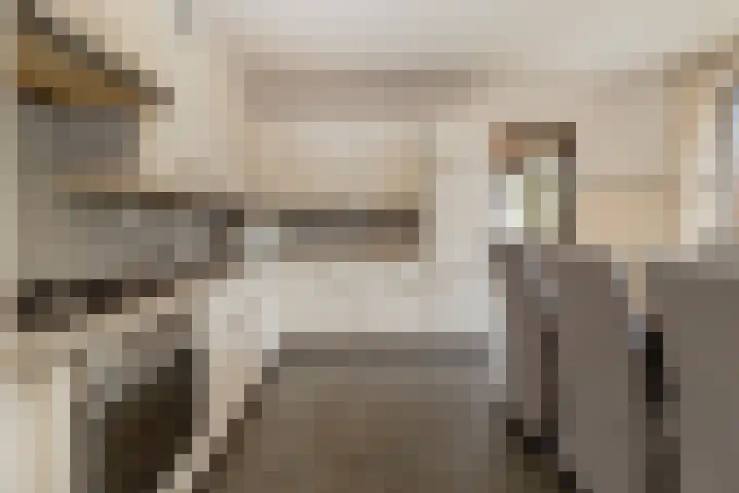 Europastraat 51 Ulestraten thumbnail 9