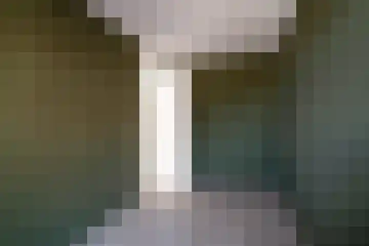 Europastraat 71 Borne thumbnail 17