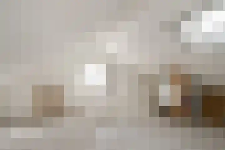 Europastraat 71 Borne thumbnail 21