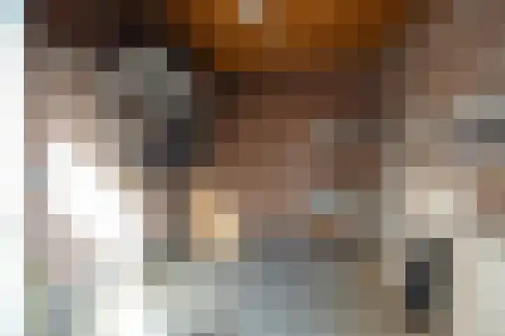 Europastraat 71 Borne thumbnail 28
