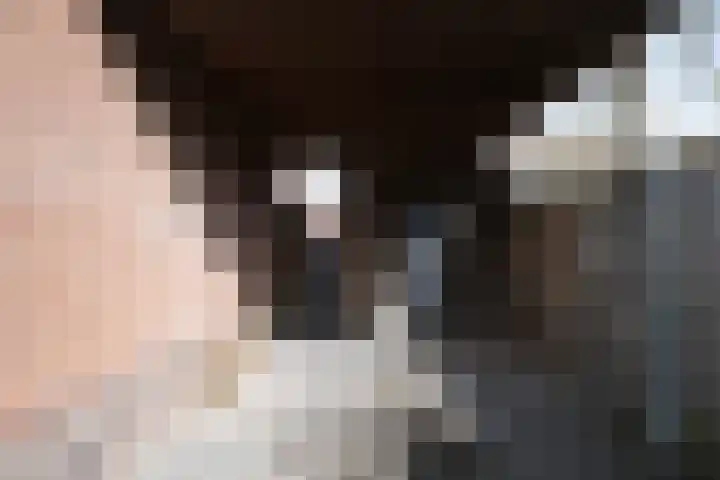 Europastraat 71 Borne thumbnail 30