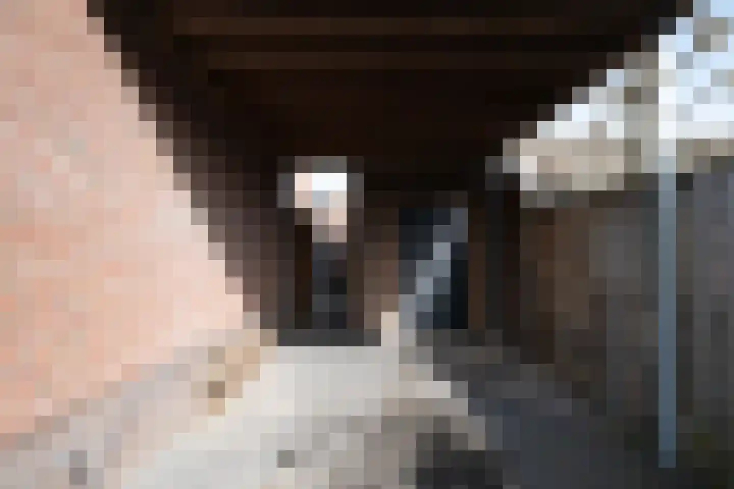 Europastraat 71 Borne thumbnail 30