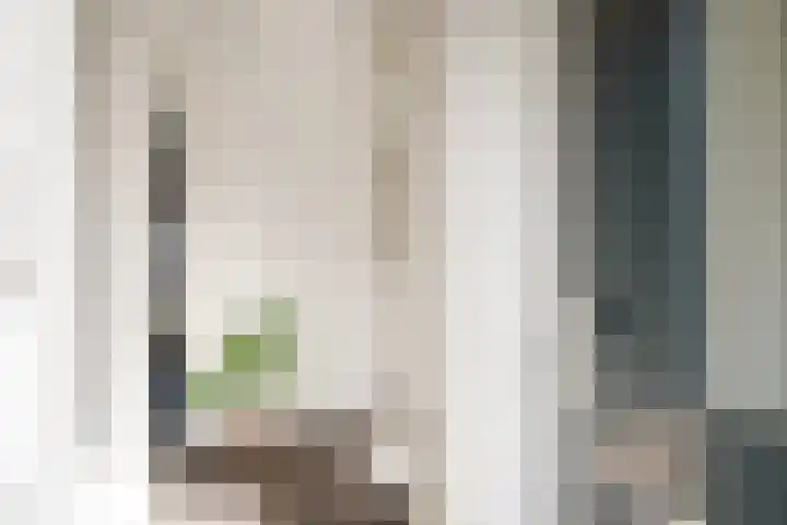 Europastraat 71 Borne thumbnail 8