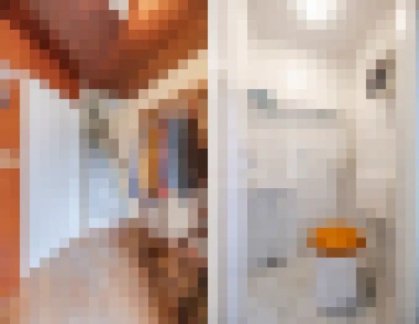 Europastraat 76 Dinteloord thumbnail 10