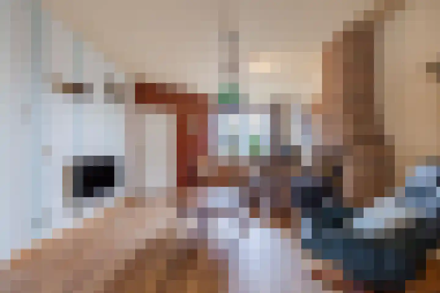 Europastraat 76 Dinteloord thumbnail 14