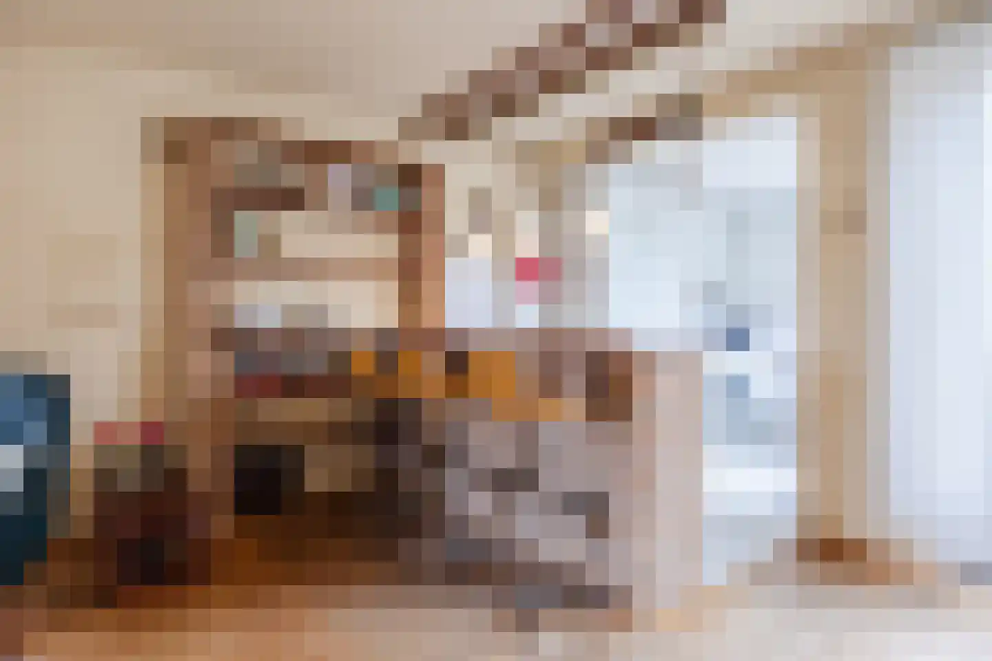 Europastraat 76 Dinteloord thumbnail 15