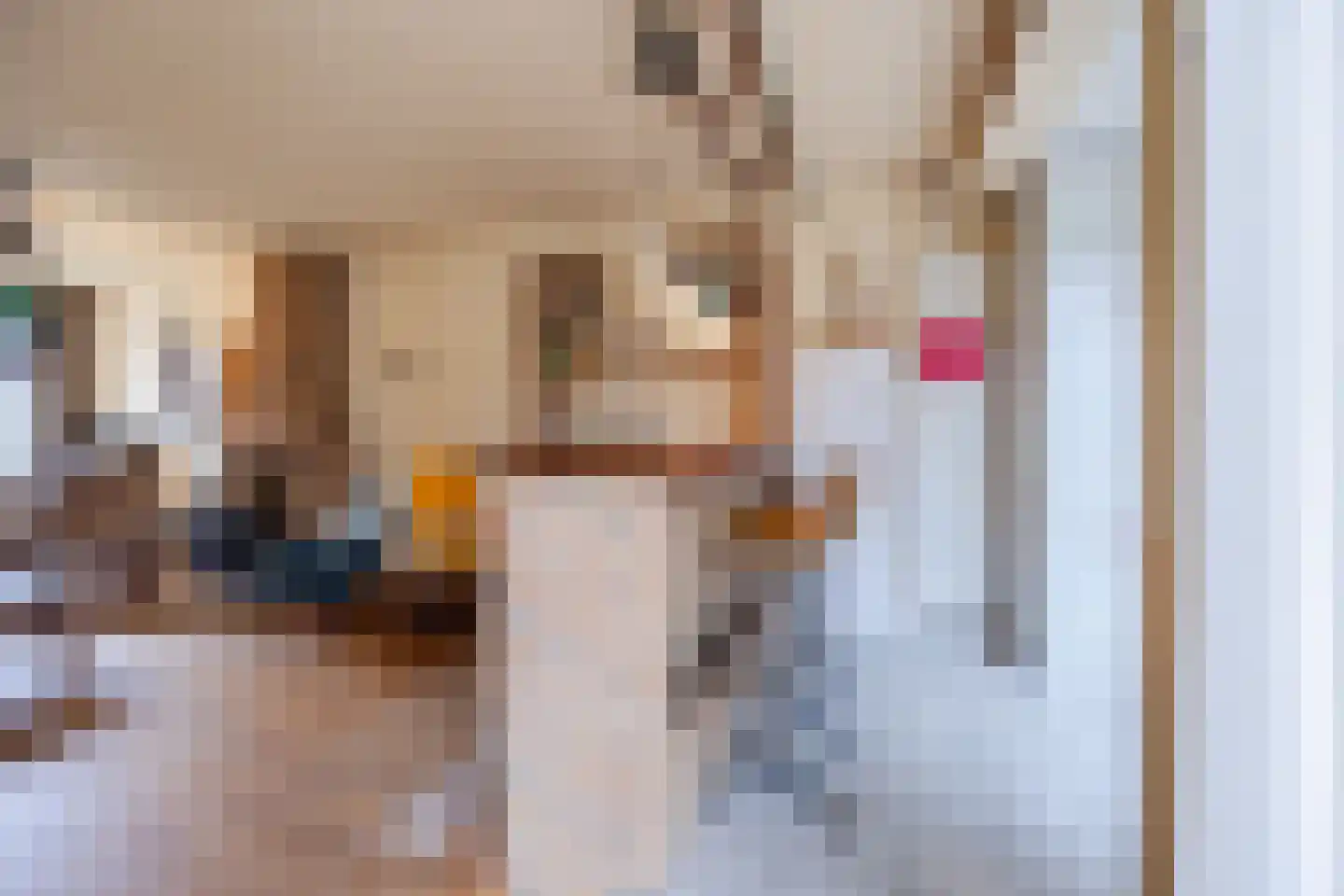 Europastraat 76 Dinteloord thumbnail 16