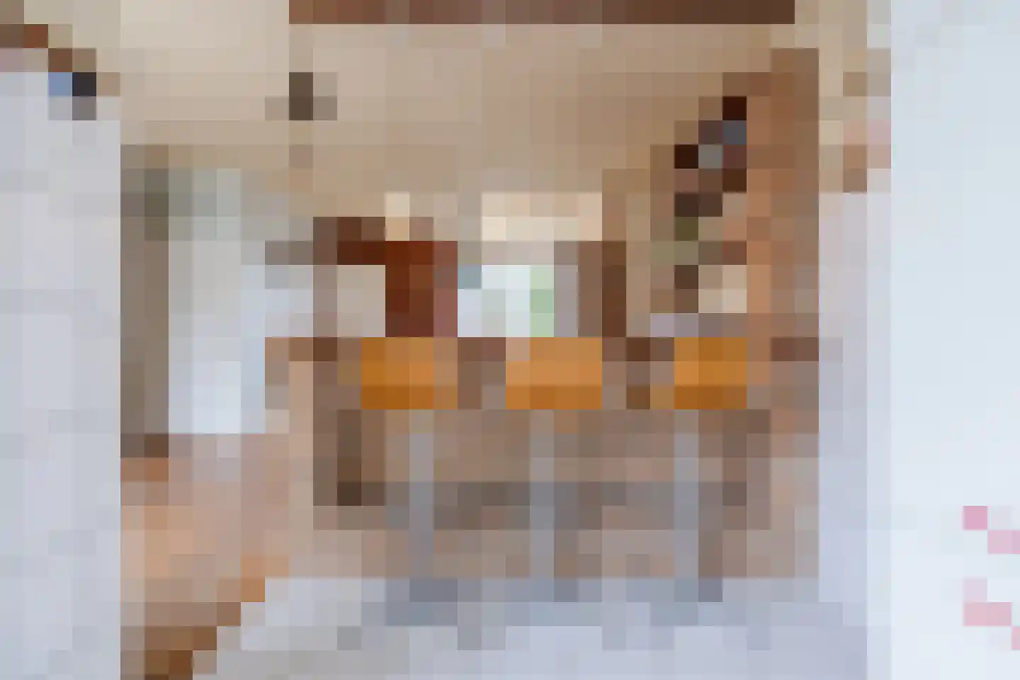 Europastraat 76 Dinteloord thumbnail 17