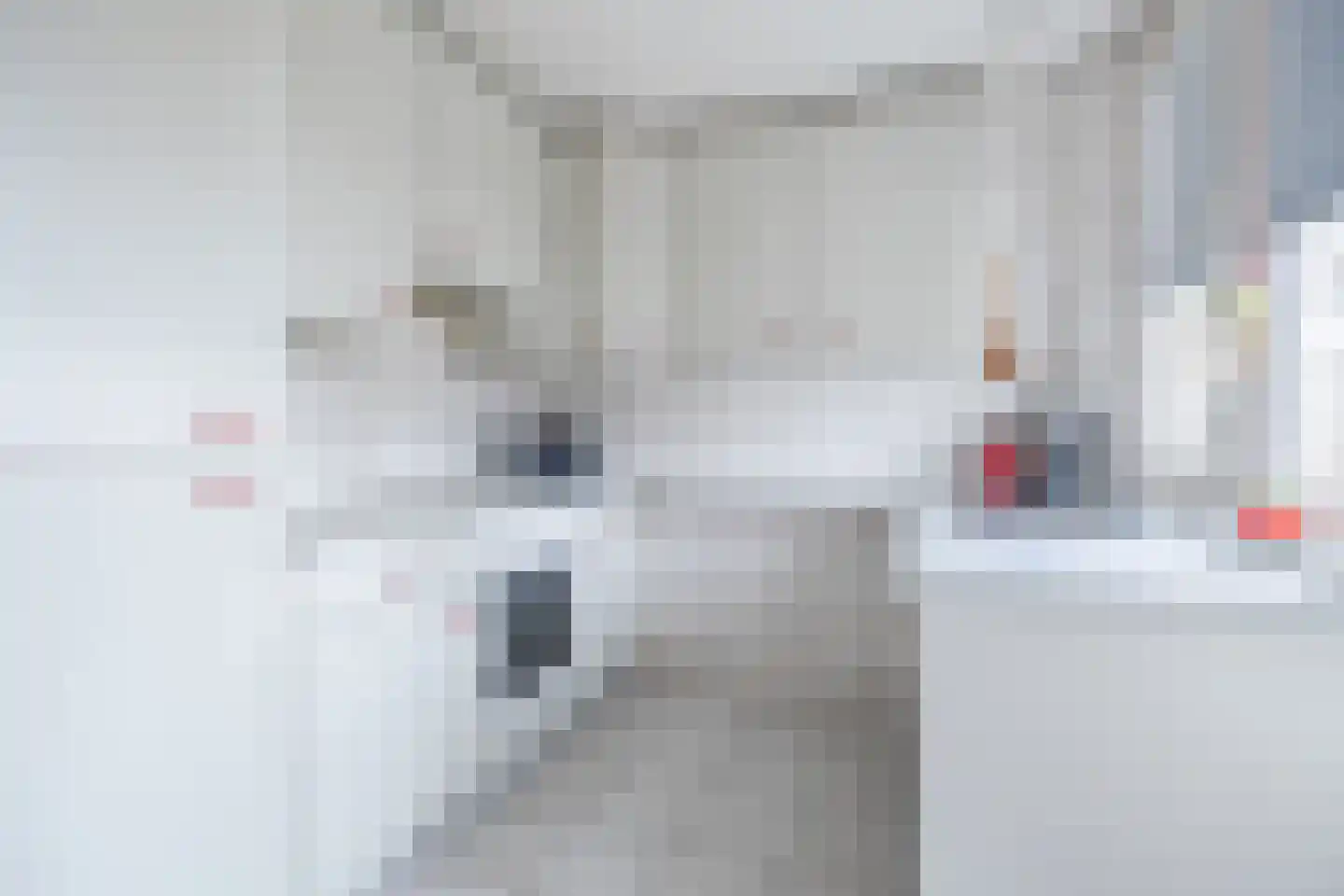 Europastraat 76 Dinteloord thumbnail 20