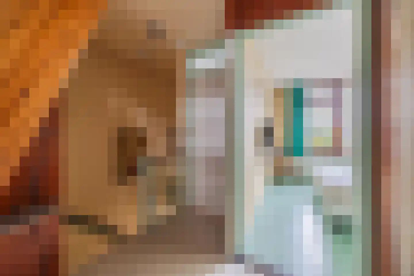 Europastraat 76 Dinteloord thumbnail 22