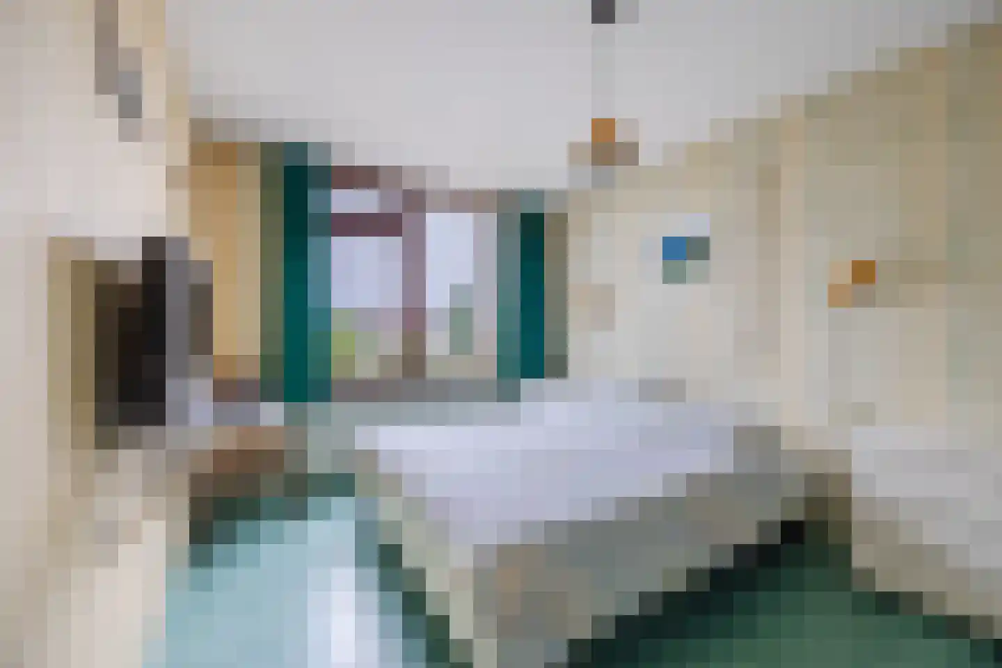 Europastraat 76 Dinteloord thumbnail 23