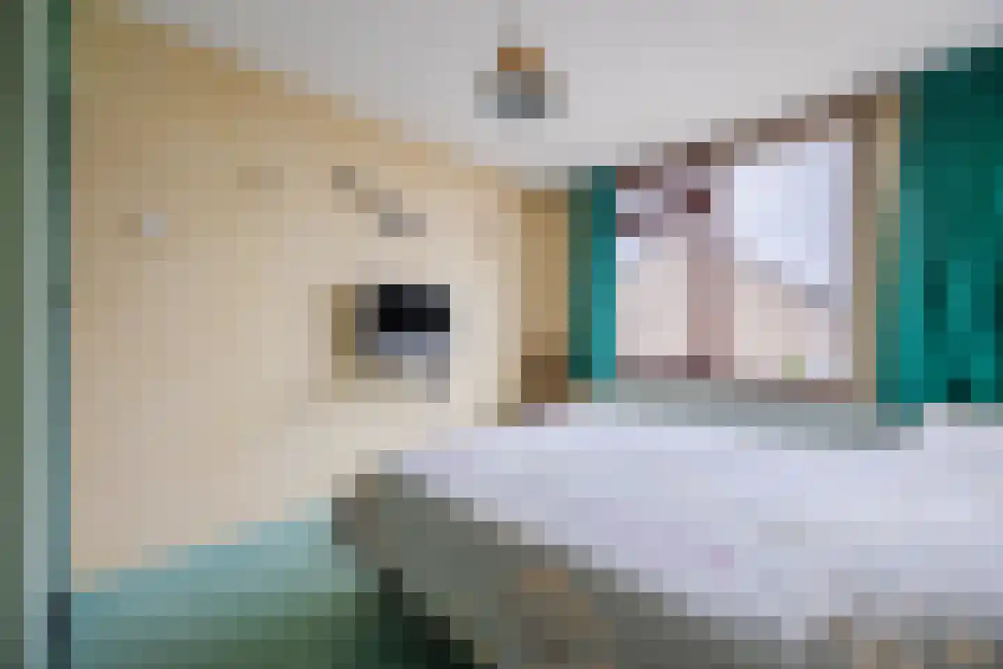 Europastraat 76 Dinteloord thumbnail 25