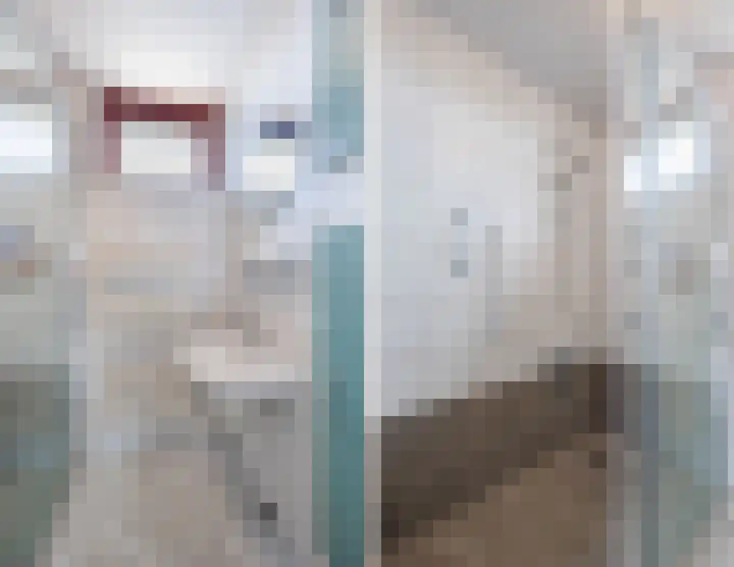 Europastraat 76 Dinteloord thumbnail 31