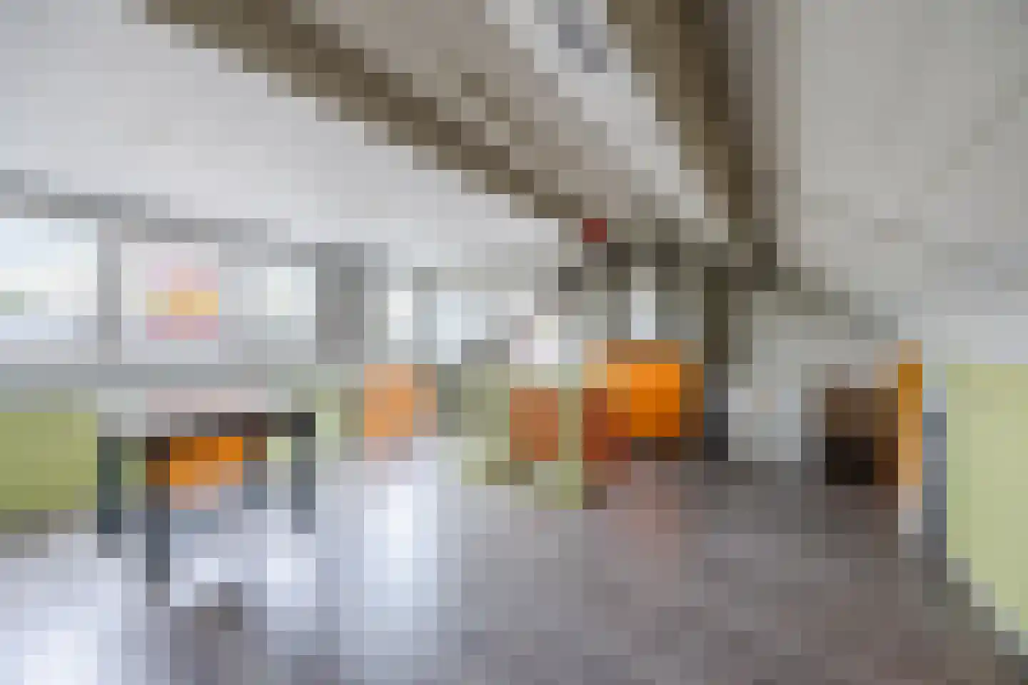 Europastraat 76 Dinteloord thumbnail 33