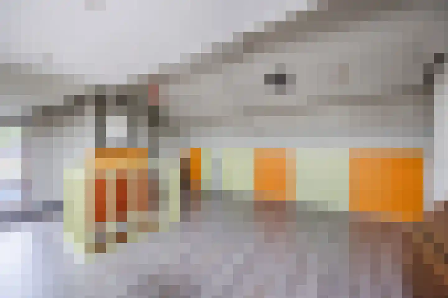 Europastraat 76 Dinteloord thumbnail 34