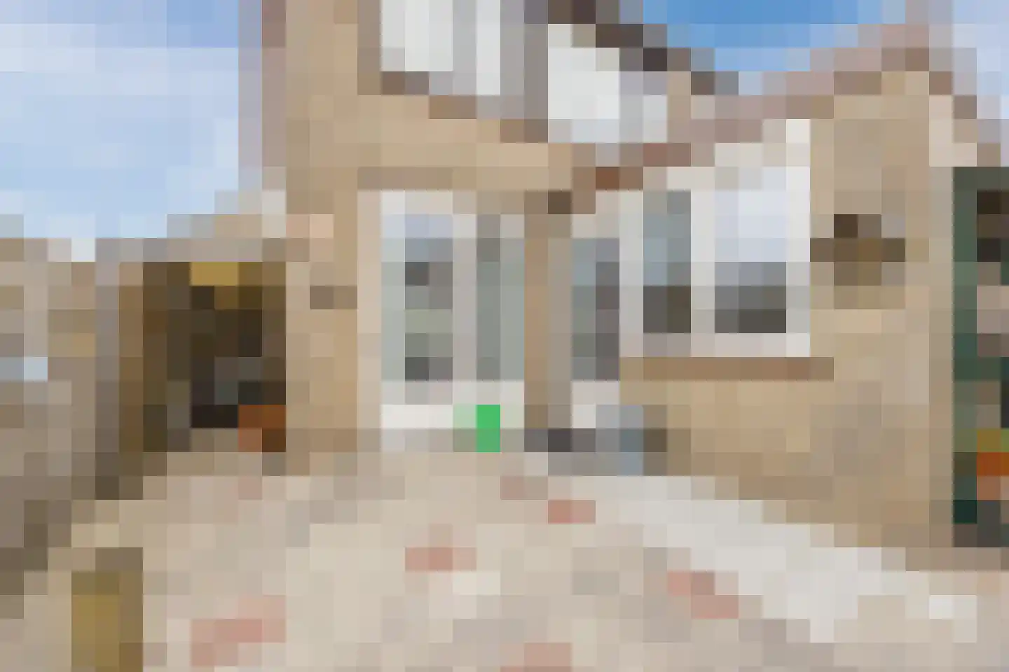 Europastraat 76 Dinteloord thumbnail 38
