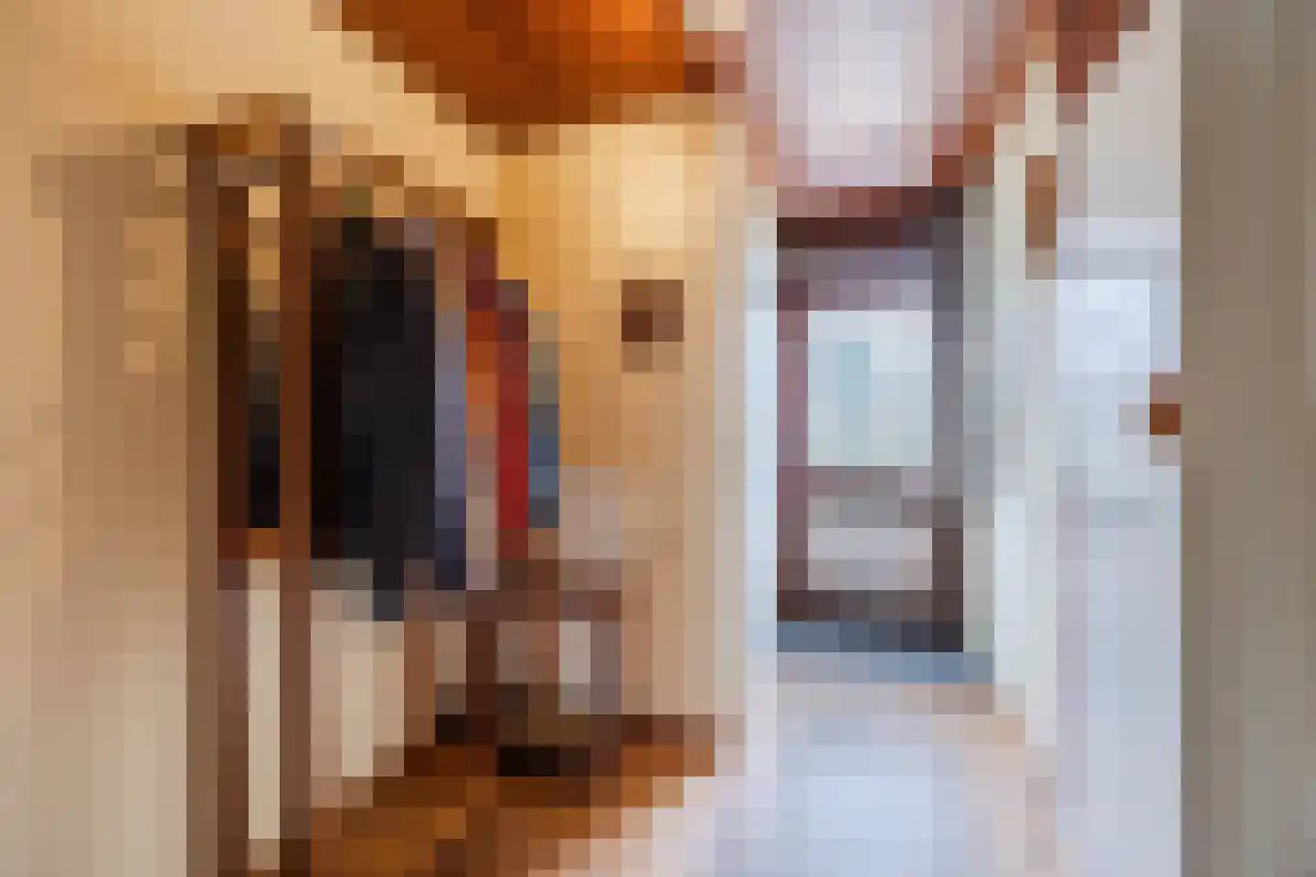 Europastraat 76 Dinteloord thumbnail 9