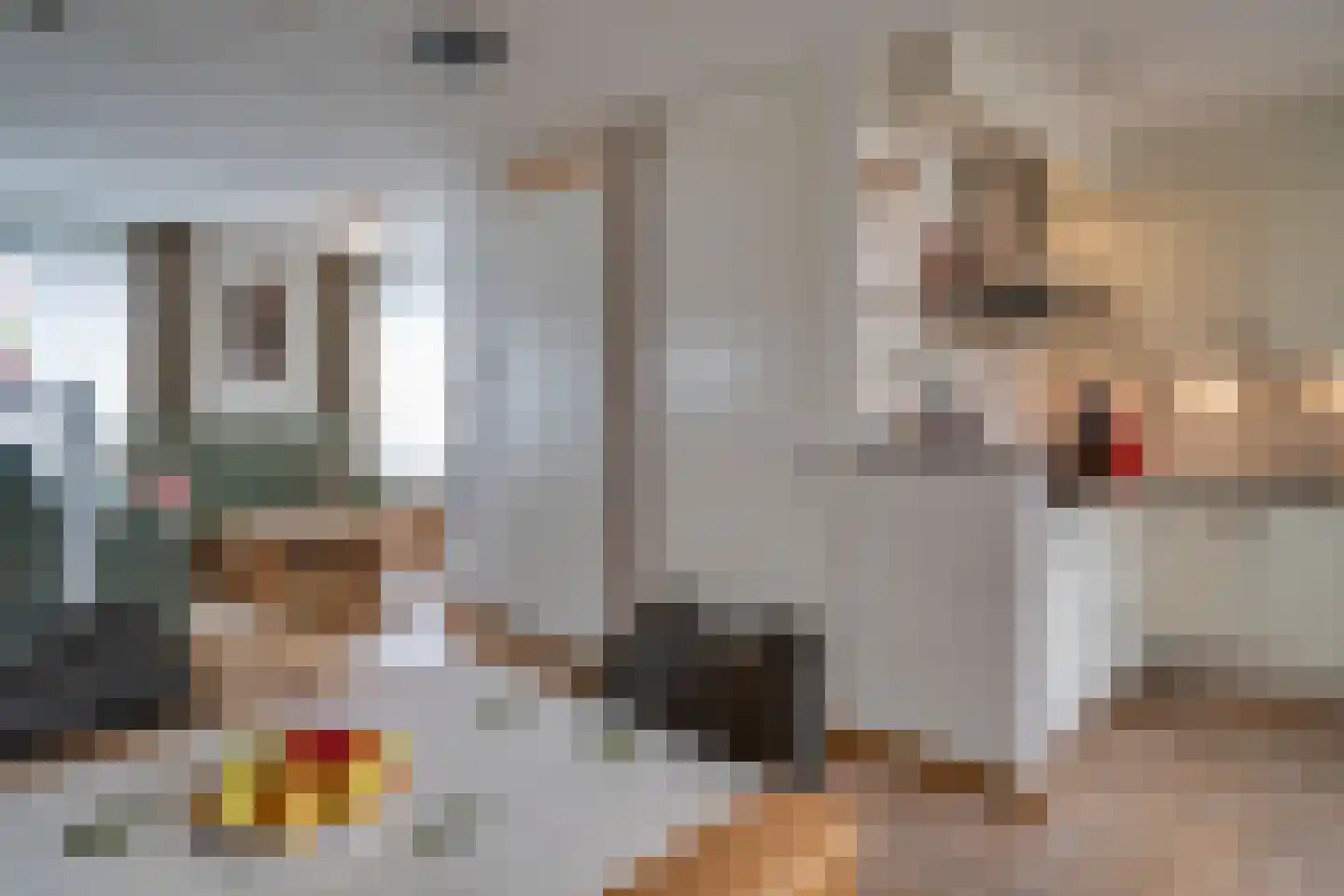 Europastraat 8 Deurne thumbnail 10