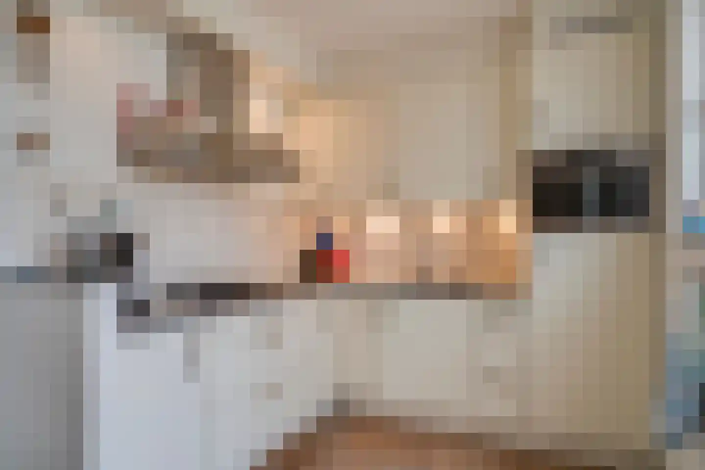 Europastraat 8 Deurne thumbnail 12