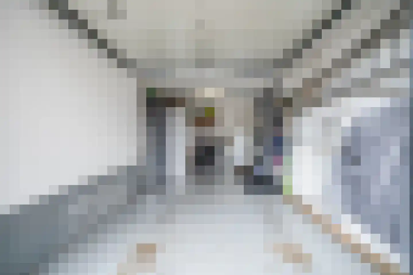Europastraat 8 Deurne thumbnail 23