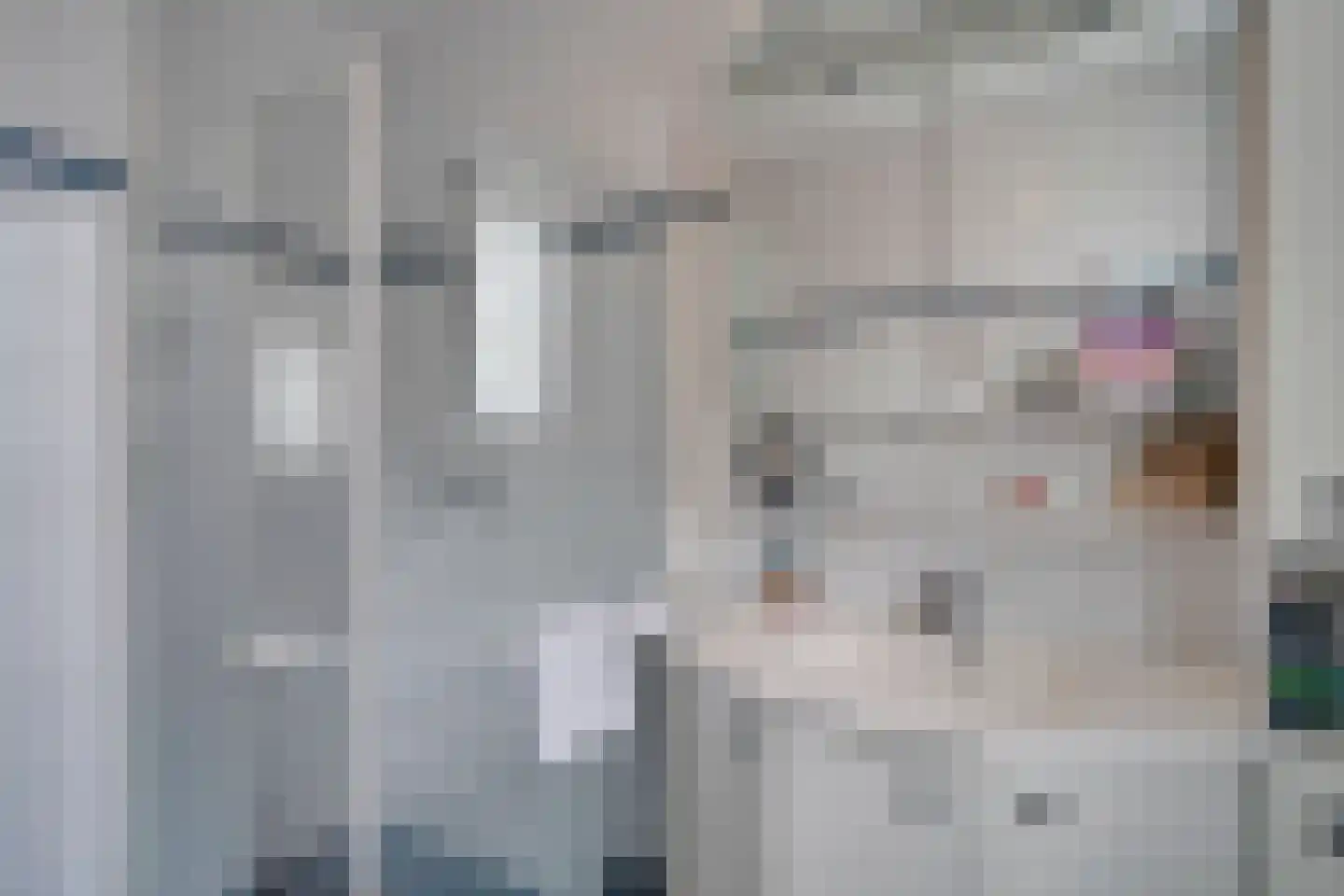 Europastraat 8 Deurne thumbnail 28