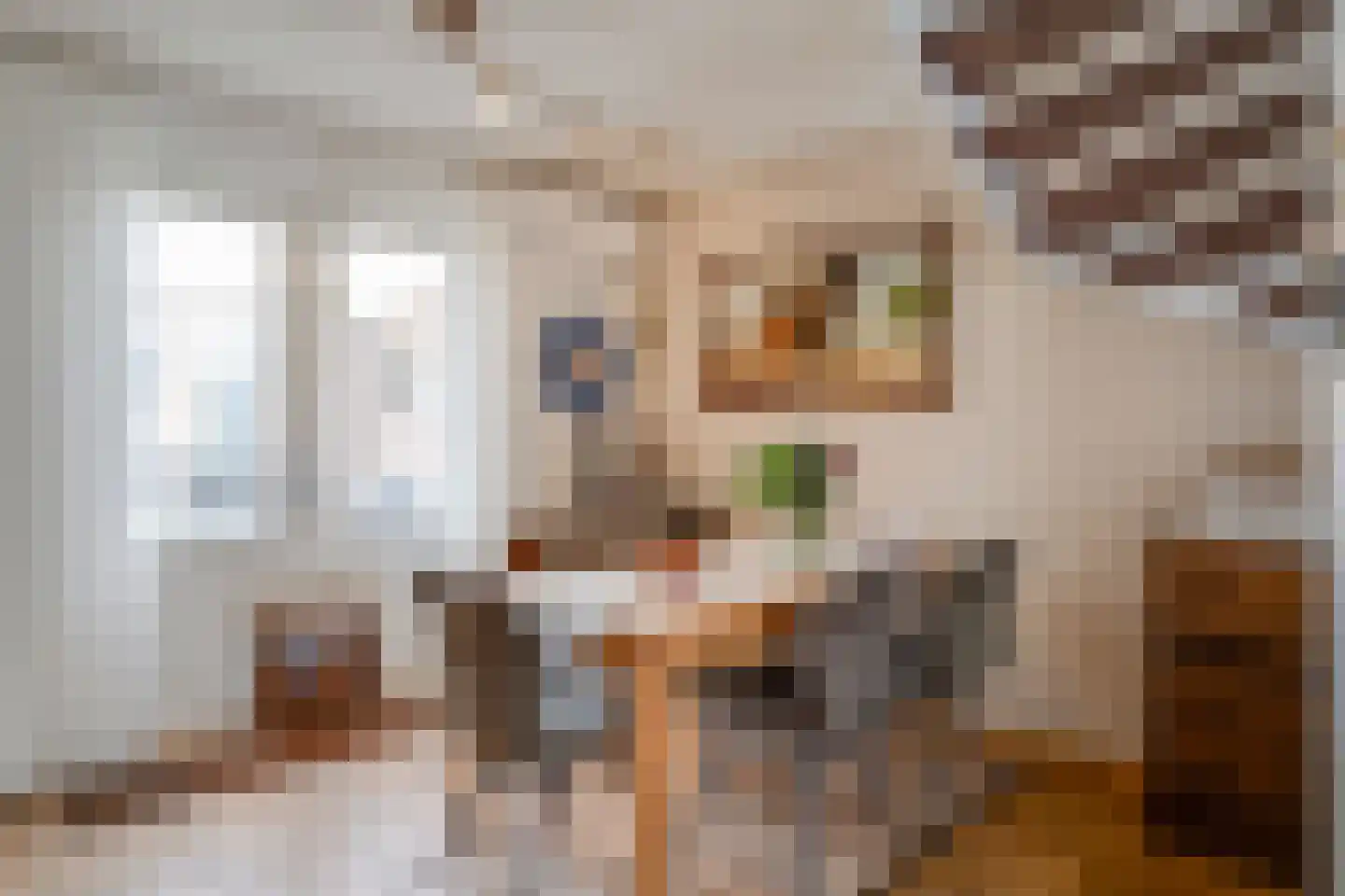 Europastraat 8 Deurne thumbnail 6