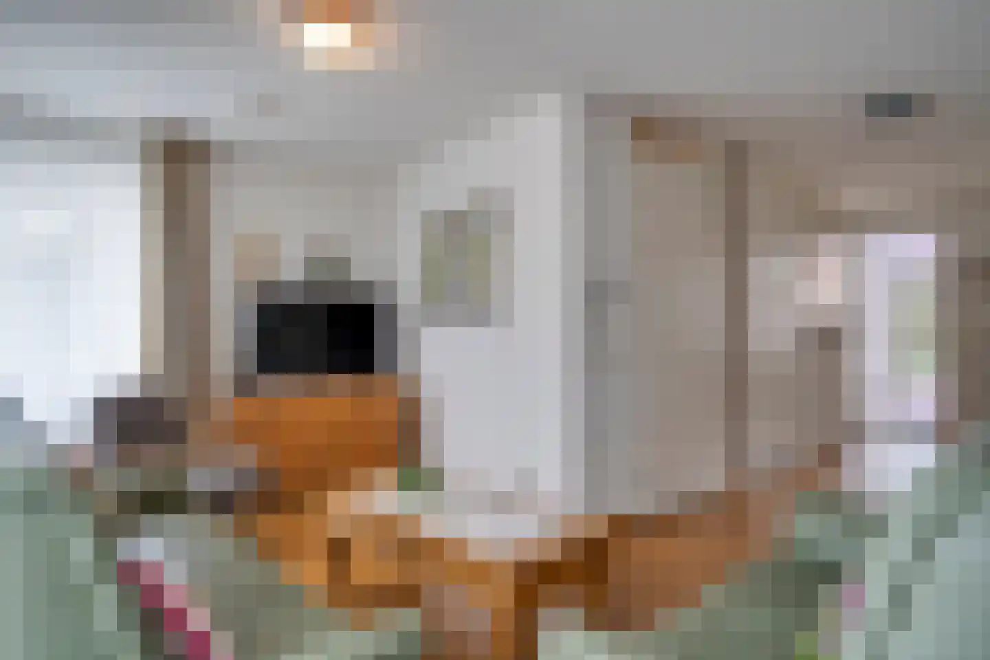 Europastraat 8 Deurne thumbnail 8