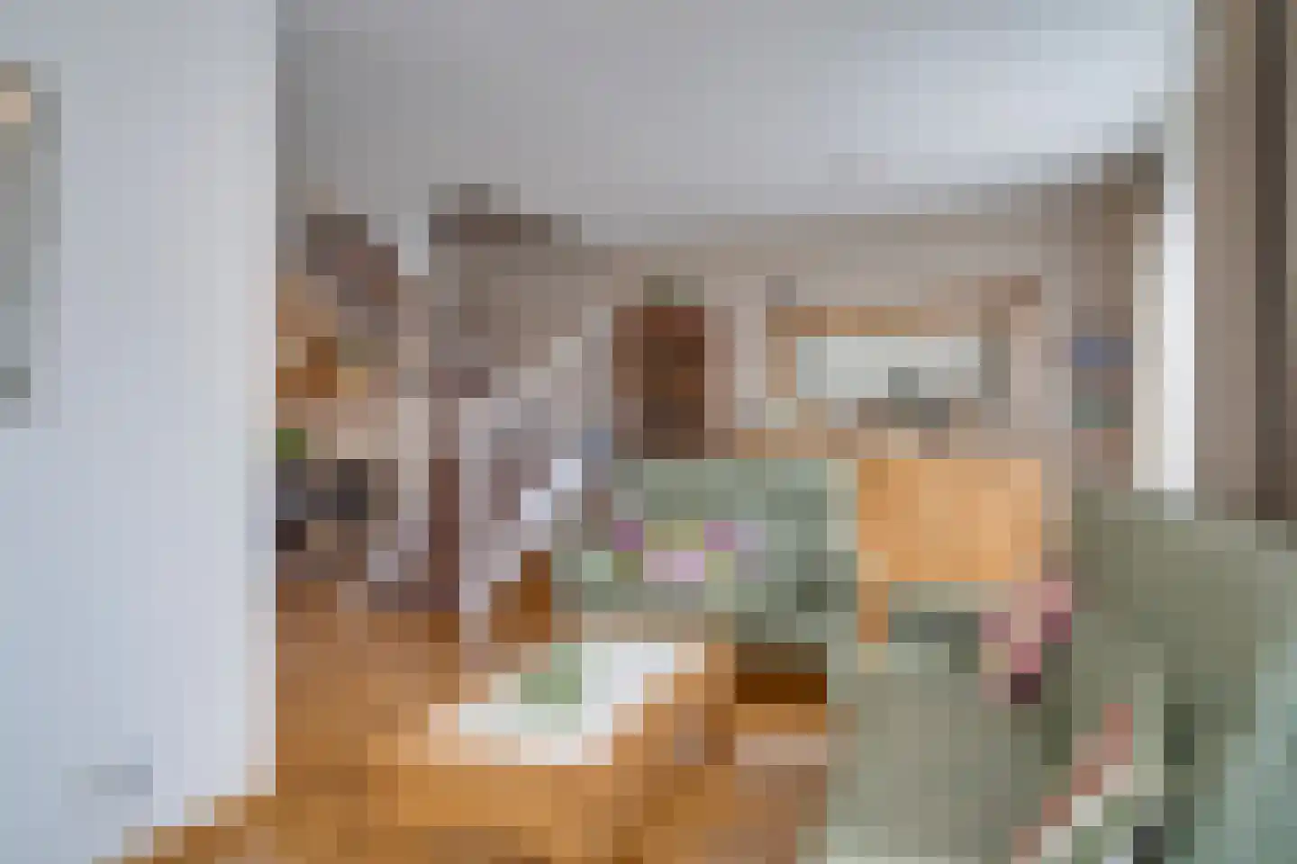 Europastraat 8 Deurne thumbnail 9