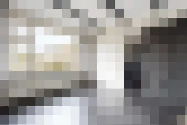 Europastraat 9 Dinteloord thumbnail 10