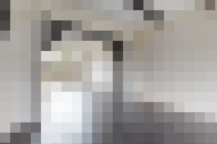Europastraat 9 Dinteloord thumbnail 11