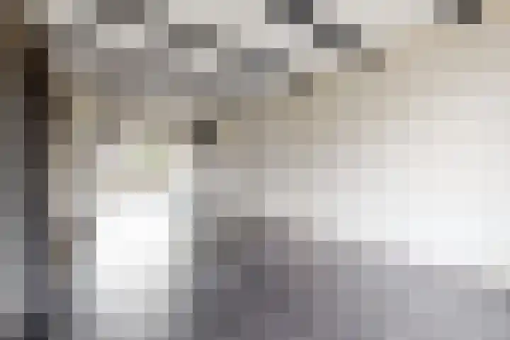 Europastraat 9 Dinteloord thumbnail 12